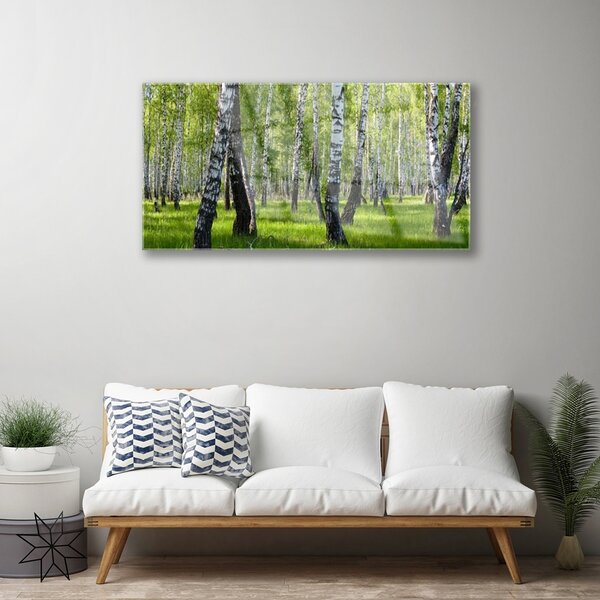 Obraz na skle Les príroda 100x50 cm 2 Prívesky