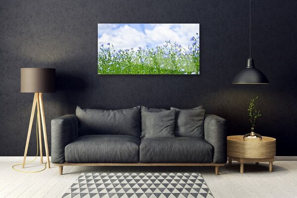 Obraz na skle Kvety rastlina príroda 100x50 cm 2 Prívesky