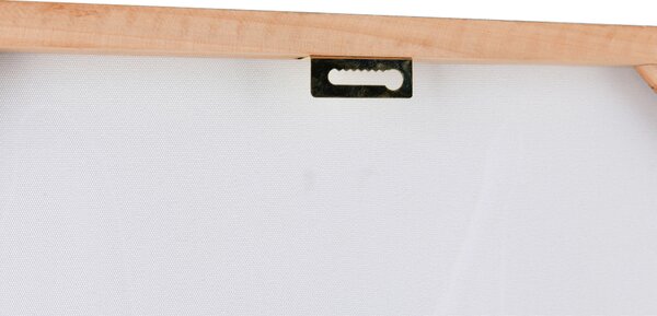 OBRAZ, zvieratá, 60/90 cm - Obrazy, Online Only