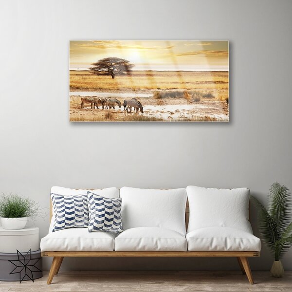 Obraz na skle Púšť krajina 100x50 cm 2 Prívesky