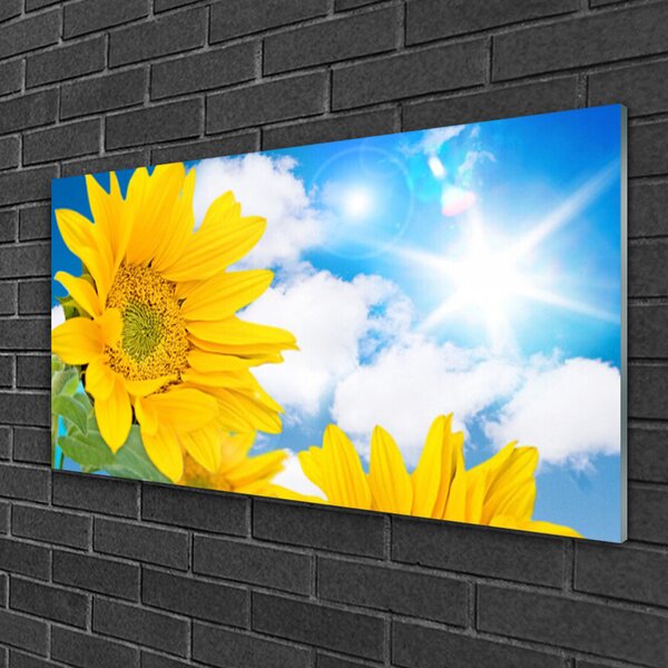 Obraz na skle Kvety rastlina príroda 100x50 cm 2 Prívesky