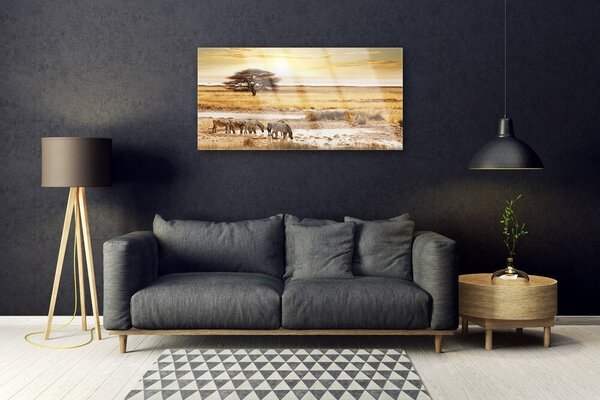 Obraz na skle Púšť krajina 100x50 cm 2 Prívesky