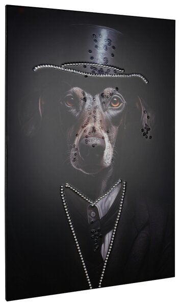 OBRAZ, zvieratá, 60/90 cm - Obrazy, Online Only