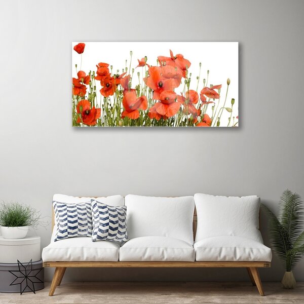 Obraz na skle Maky rastlina príroda 100x50 cm 2 Prívesky