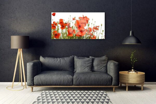 Obraz na skle Maky rastlina príroda 100x50 cm 2 Prívesky