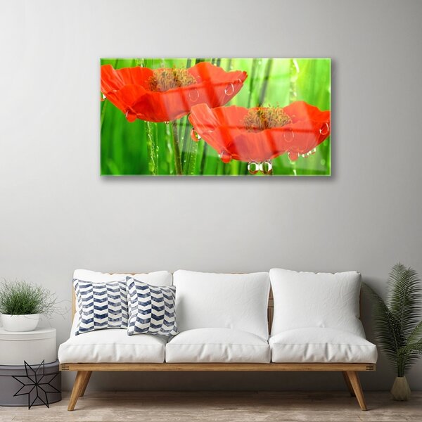 Obraz na skle Maky rastlina príroda 100x50 cm 2 Prívesky