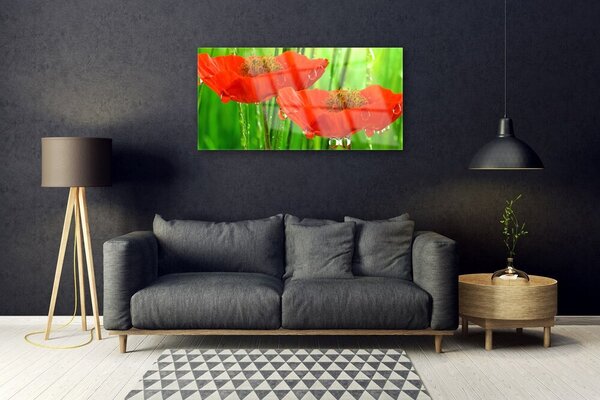 Obraz na skle Maky rastlina príroda 100x50 cm 2 Prívesky