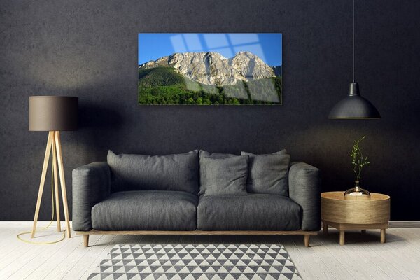 Obraz na skle Hora les príroda 100x50 cm 2 Prívesky