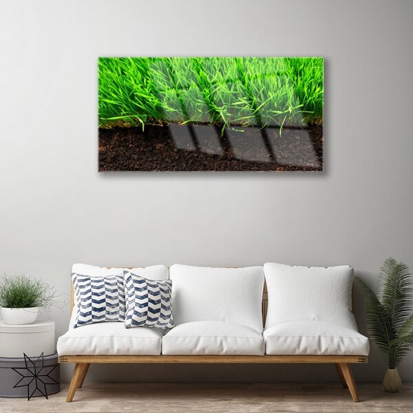 Obraz na skle Tráva príroda rastlina 100x50 cm 4 Prívesky