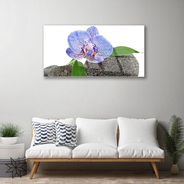 Obraz na skle Kvet rastlina príroda 100x50 cm 2 Prívesky
