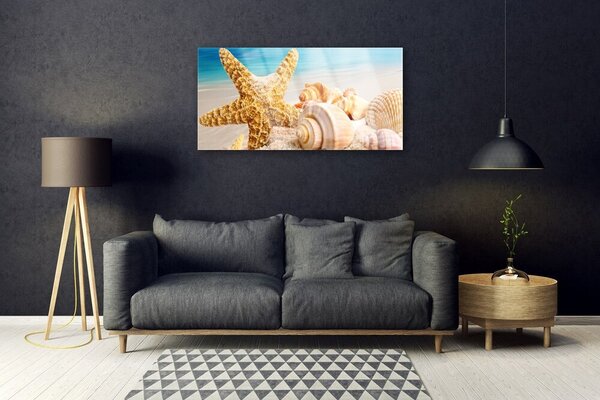 Obraz na skle Hviezdice mušle umenie 100x50 cm 2 Prívesky