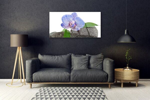 Obraz na skle Kvet rastlina príroda 100x50 cm 2 Prívesky
