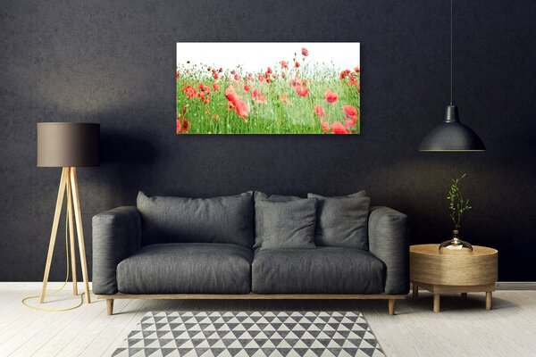 Obraz na skle Maky rastlina príroda 100x50 cm 2 Prívesky