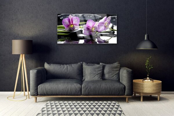 Obraz na skle Kvet kamene rastlina 100x50 cm 2 Prívesky
