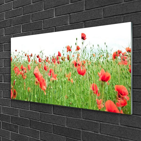 Obraz na skle Maky rastlina príroda 100x50 cm 2 Prívesky