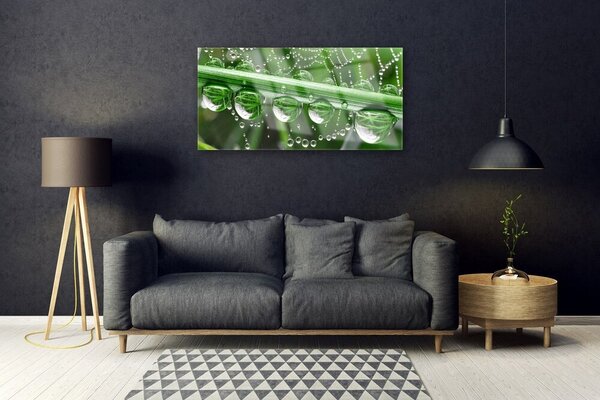 Obraz na skle Pavučina kvapka rastlina 100x50 cm 2 Prívesky