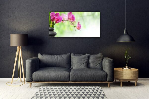 Obraz na skle Kvet kamene rastlina 100x50 cm 2 Prívesky