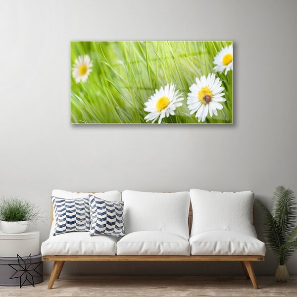 Obraz na skle Tráva sedmokrásky príroda 100x50 cm 2 Prívesky