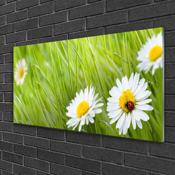 Obraz na skle Tráva sedmokrásky príroda 100x50 cm 2 Prívesky