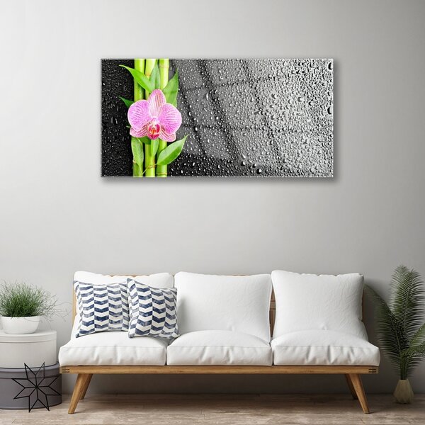 Obraz na skle Bambus stonky kvet rastlina 100x50 cm 2 Prívesky