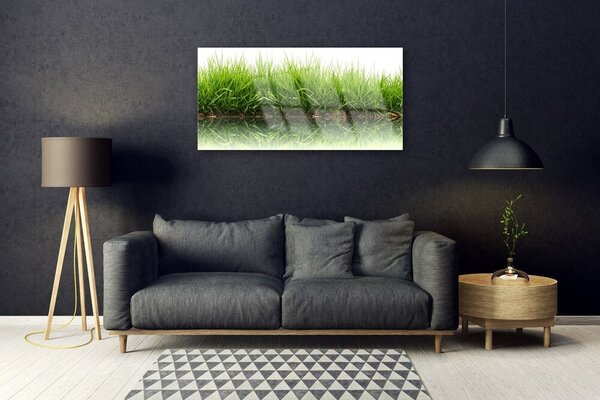 Obraz na skle Tráva príroda rastlina 100x50 cm 2 Prívesky