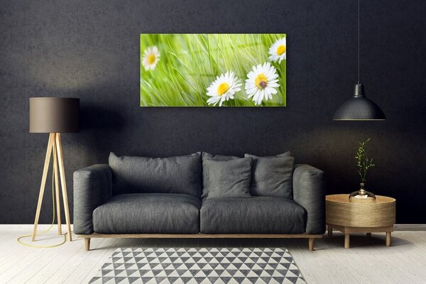 Obraz na skle Tráva sedmokrásky príroda 100x50 cm 2 Prívesky
