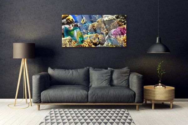 Obraz na skle Koralový útes príroda 100x50 cm 2 Prívesky