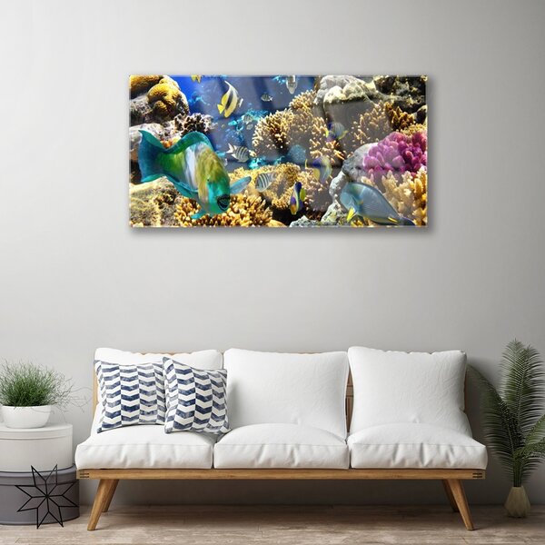 Obraz na skle Koralový útes príroda 100x50 cm 2 Prívesky