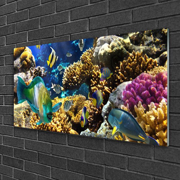 Obraz na skle Koralový útes príroda 100x50 cm 2 Prívesky