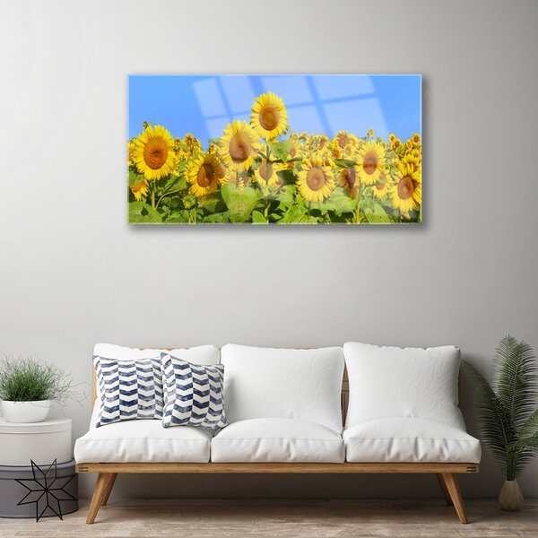 Obraz na skle Slnečnica kvet rastlina 100x50 cm 2 Prívesky