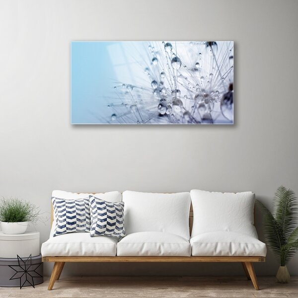 Obraz na skle Púpava rastlina 100x50 cm 2 Prívesky