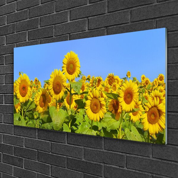 Obraz na skle Slnečnica kvet rastlina 100x50 cm 2 Prívesky