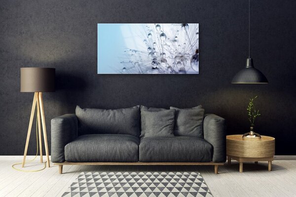 Obraz na skle Púpava rastlina 100x50 cm 2 Prívesky