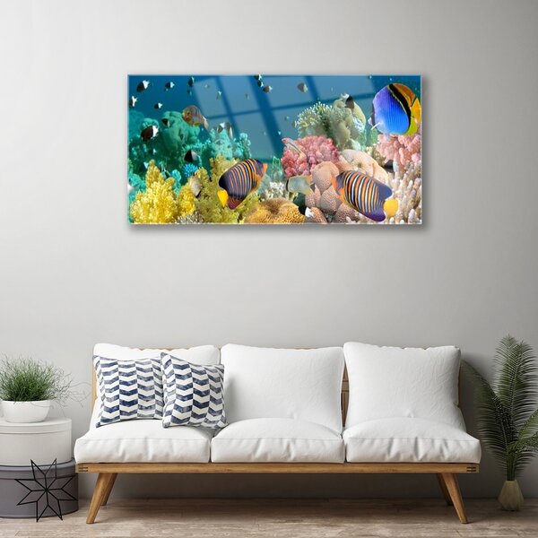 Obraz na skle Koralový útes príroda 100x50 cm 2 Prívesky
