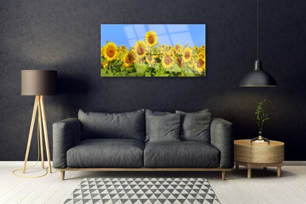 Obraz na skle Slnečnica kvet rastlina 100x50 cm 2 Prívesky