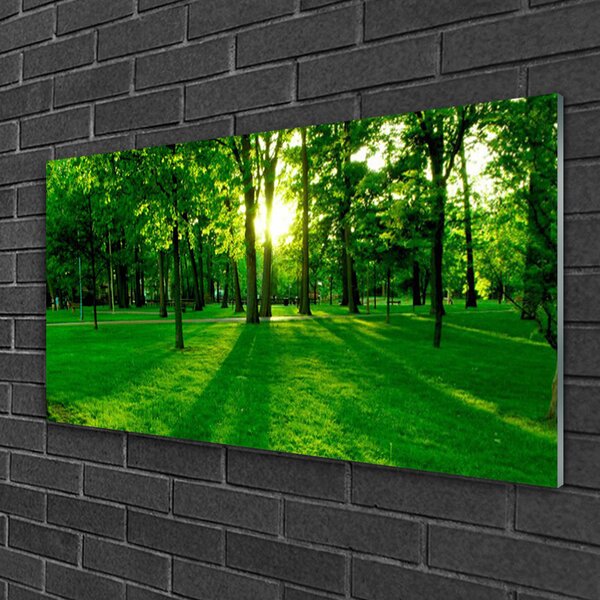 Obraz na skle Les príroda 100x50 cm 2 Prívesky