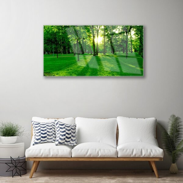 Obraz na skle Les príroda 100x50 cm 2 Prívesky