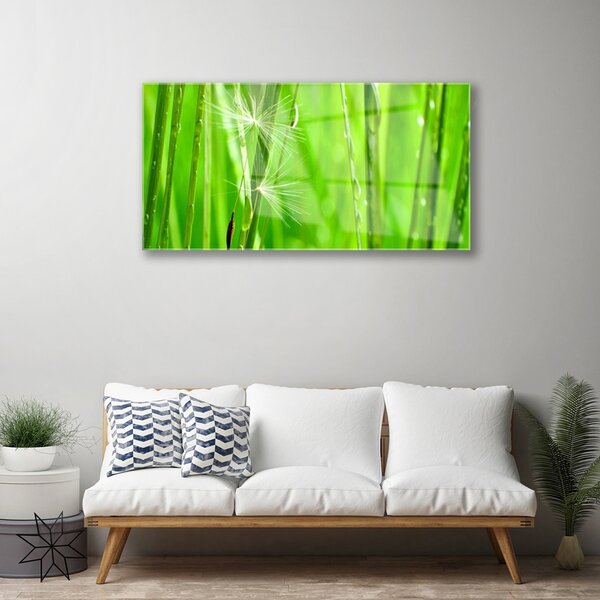 Obraz na skle Tráva rastlina príroda 100x50 cm 2 Prívesky