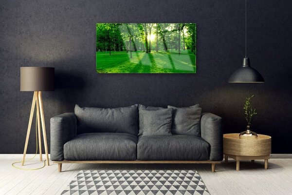 Obraz na skle Les príroda 100x50 cm 2 Prívesky