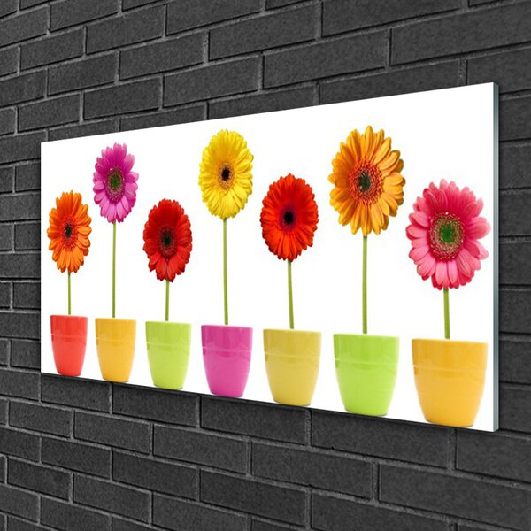 Skleneny obraz Kvety rastlina príroda 100x50 cm 2 Prívesky