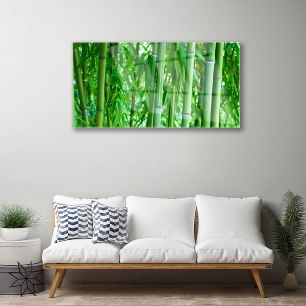 Obraz na skle Bambus stonka rastlina 100x50 cm 2 Prívesky