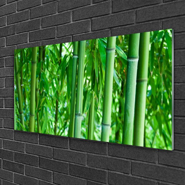 Obraz na skle Bambus stonka rastlina 100x50 cm 2 Prívesky