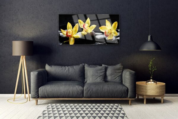 Skleneny obraz Kvet kamene rastlina 100x50 cm 2 Prívesky