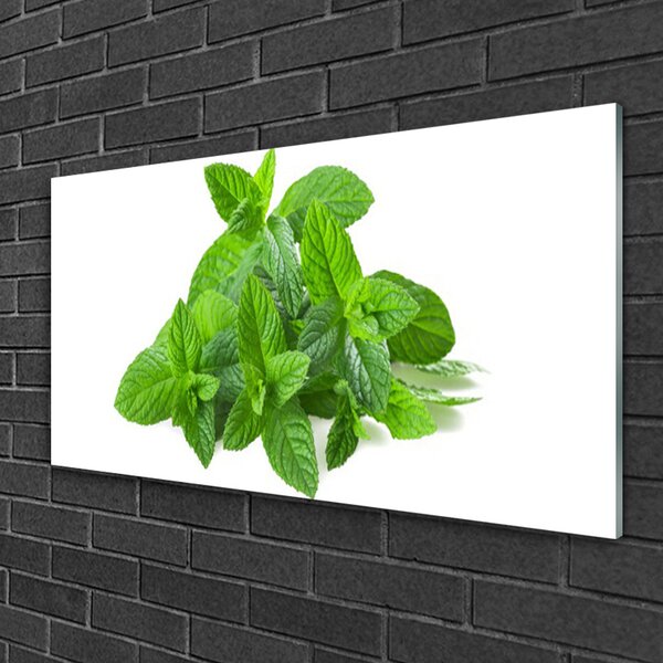 Skleneny obraz Mäta rastlina príroda 100x50 cm 2 Prívesky