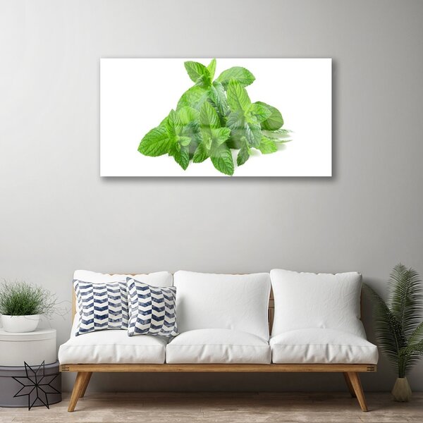 Skleneny obraz Mäta rastlina príroda 100x50 cm 2 Prívesky