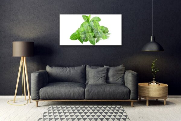Skleneny obraz Mäta rastlina príroda 100x50 cm 2 Prívesky