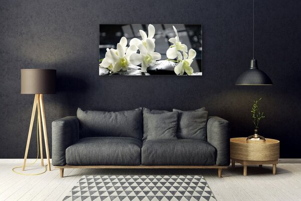 Skleneny obraz Kvet kamene rastlina 100x50 cm 2 Prívesky