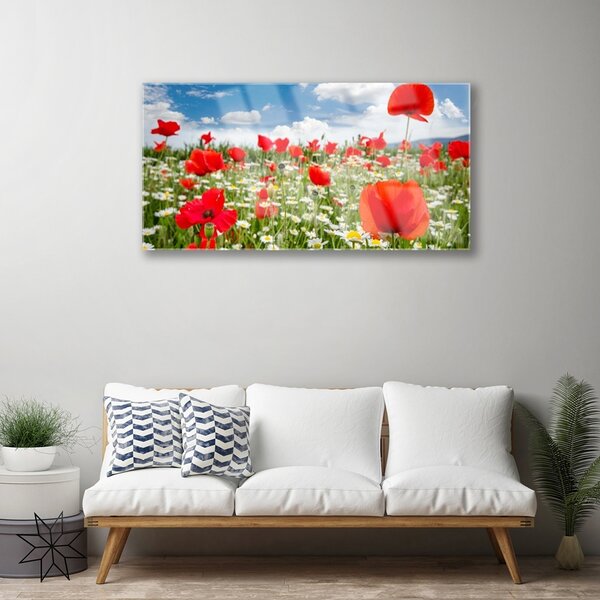 Skleneny obraz Lúka kvety príroda 100x50 cm 2 Prívesky