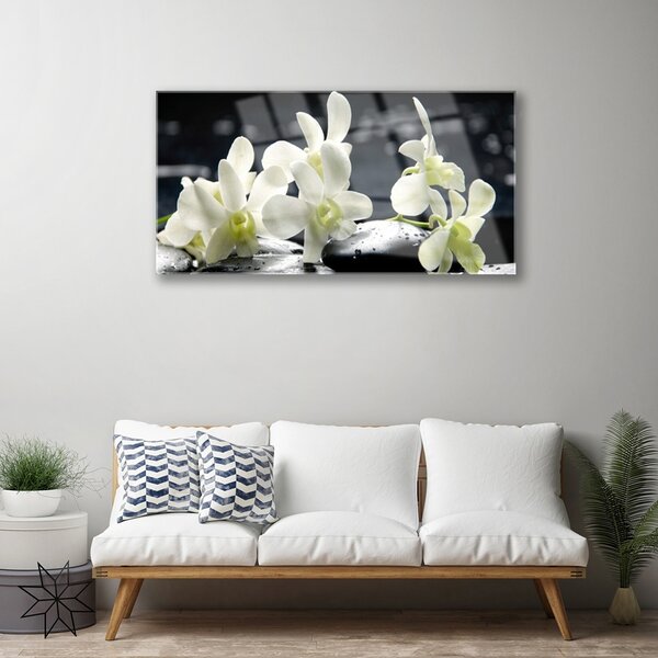 Skleneny obraz Kvet kamene rastlina 100x50 cm 2 Prívesky
