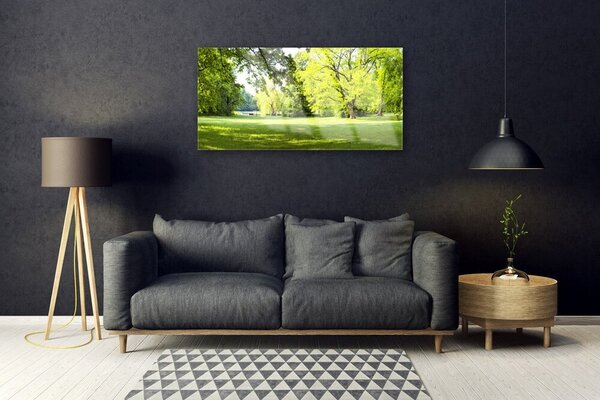 Skleneny obraz Tráva stromy park príroda 100x50 cm 2 Prívesky